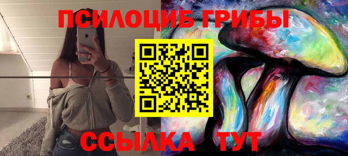 Псилоцибиновые грибы Psilocybine cubensis  Вход с VPN  Гулькевичи 