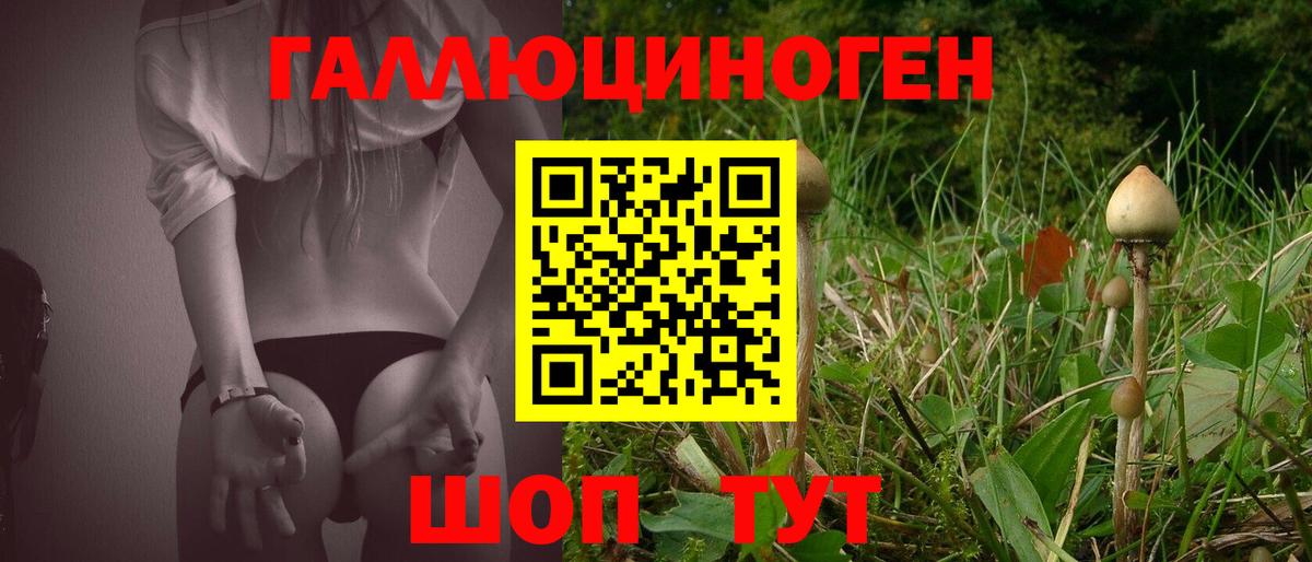 Галлюциногенные грибы Cubensis Гулькевичи